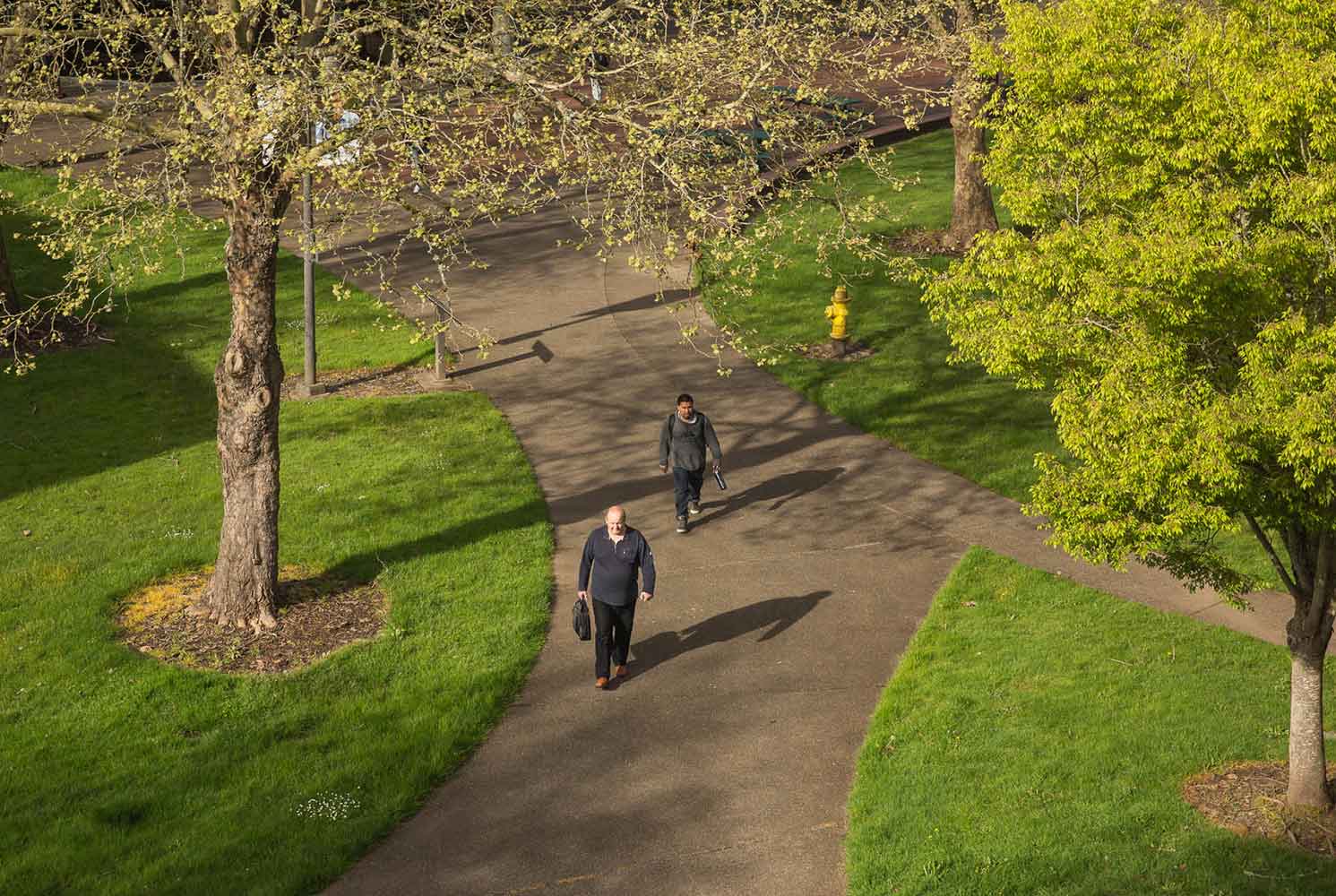 Two students walking through the quad on the Salem campus