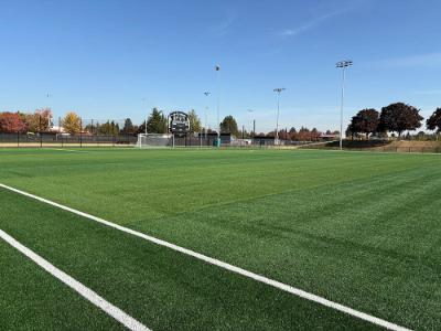 Wide view of a green artificial turf soccer field with white boundary lines, a goal, stadium light poles, perimeter fencing, and trees beneath a clear blue sky.