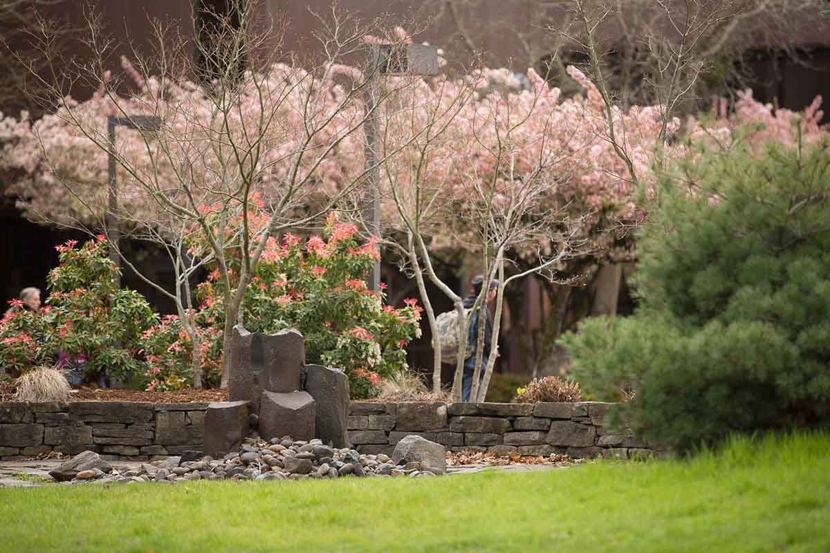 Landscaping with rocks, bushes, and trees shows springtime on campus