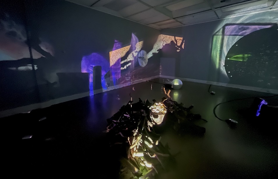 A picture from the show Galactic Ping Pong at the Gretchen Schuette Art Gallery, March 30, 2022